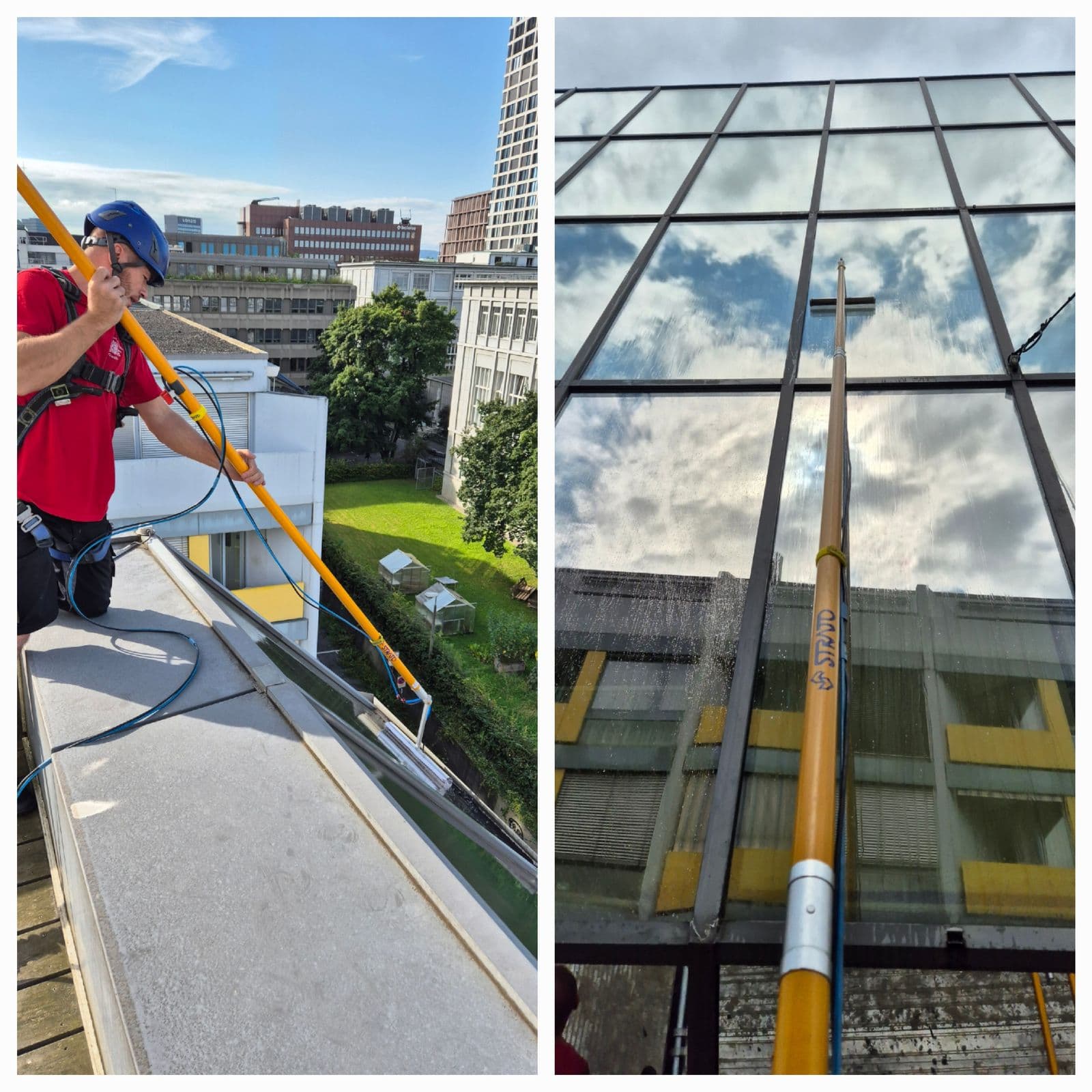 Professionelle Reinigung